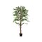 Artificial Ficus Tree Tall Faux Indoor Plant With 1008 Leaves Nursery Pot And Dried Moss